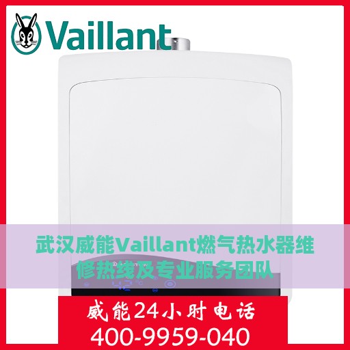 武汉威能Vaillant燃气热水器维修热线及专业服务团队