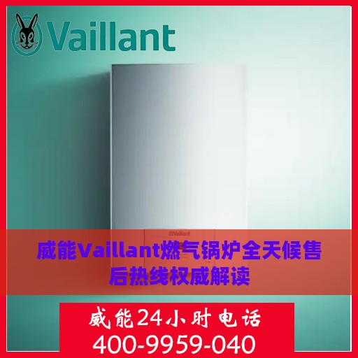 威能Vaillant燃气锅炉全天候售后热线权威解读