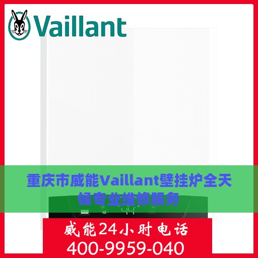 重庆市威能Vaillant壁挂炉全天候专业维修服务