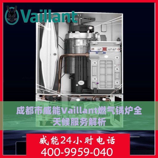 成都市威能Vaillant燃气锅炉全天候服务解析