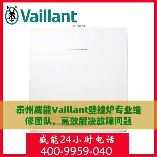 泰州威能Vaillant壁挂炉专业维修团队，高效解决故障问题