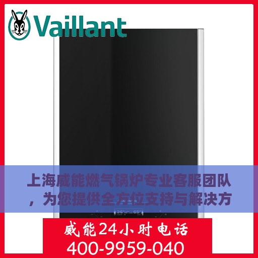 上海威能燃气锅炉专业客服团队，为您提供全方位支持与解决方案