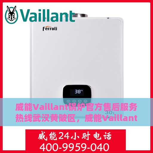 威能Vaillant锅炉官方售后服务热线武汉黄陂区，威能Vaillant锅炉武汉黄陂区售后服务热线及官方支持
