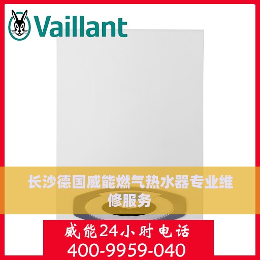 长沙德国威能燃气热水器专业维修服务
