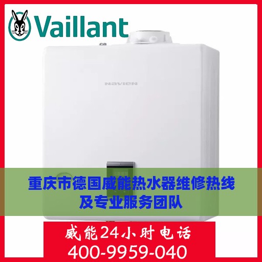 重庆市德国威能热水器维修热线及专业服务团队