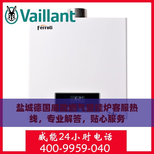 盐城德国威能燃气壁挂炉客服热线，专业解答，贴心服务