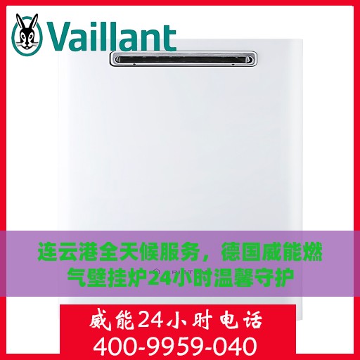 连云港全天候服务，德国威能燃气壁挂炉24小时温馨守护
