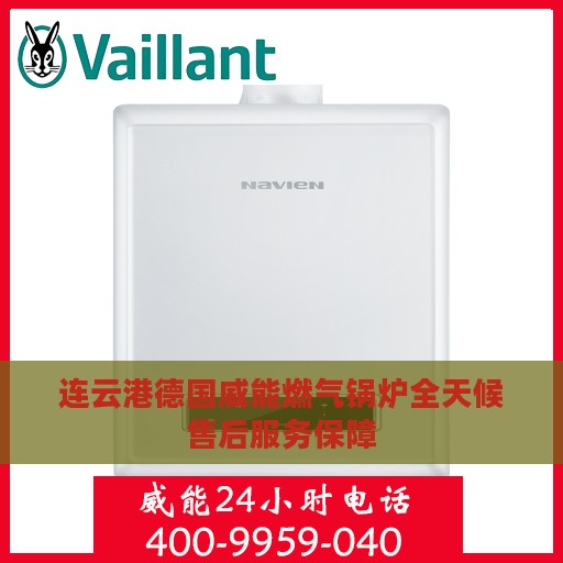 连云港德国威能燃气锅炉全天候售后服务保障