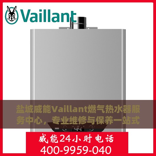 盐城威能Vaillant燃气热水器服务中心，专业维修与保养一站式解决