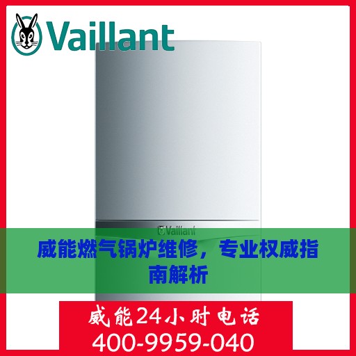 威能燃气锅炉维修，专业权威指南解析