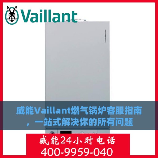 威能Vaillant燃气锅炉客服指南，一站式解决你的所有问题