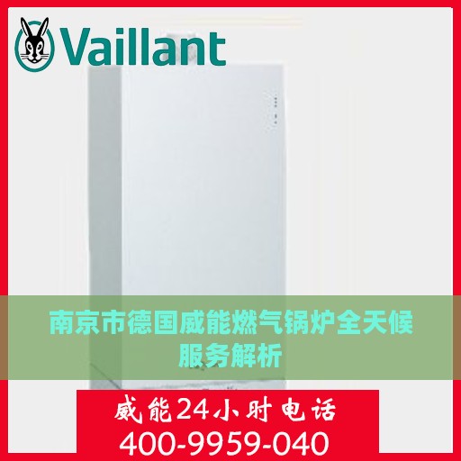 南京市德国威能燃气锅炉全天候服务解析