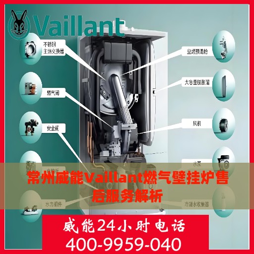 常州威能Vaillant燃气壁挂炉售后服务解析