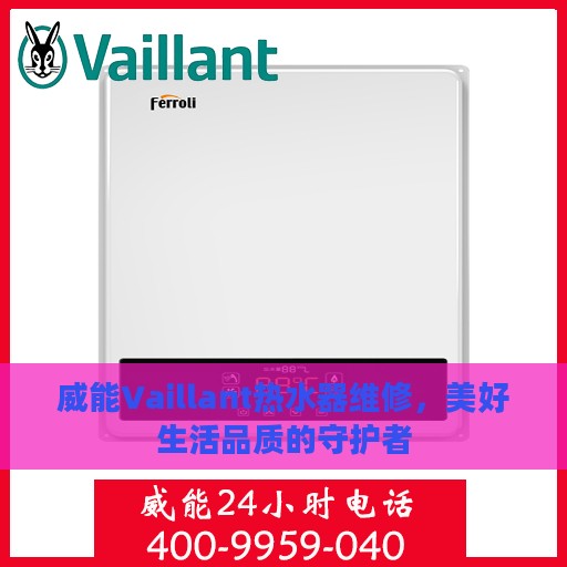 威能Vaillant热水器维修，美好生活品质的守护者