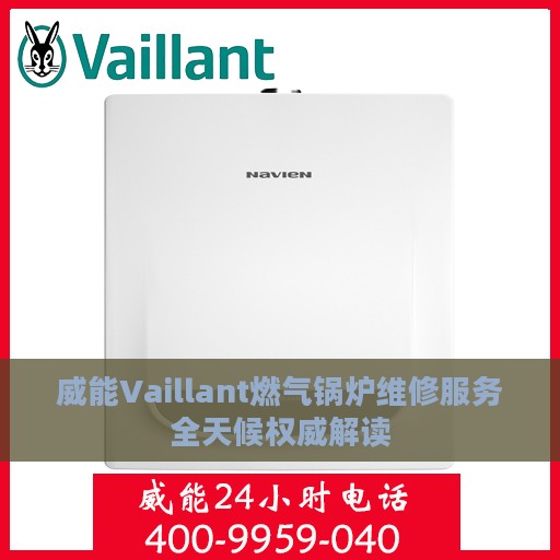 威能Vaillant燃气锅炉维修服务全天候权威解读