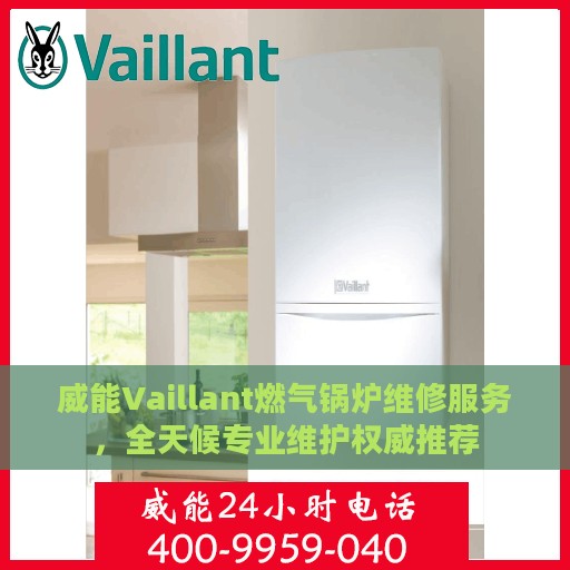 威能Vaillant燃气锅炉维修服务，全天候专业维护权威推荐