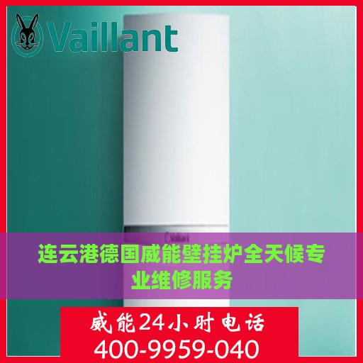 连云港德国威能壁挂炉全天候专业维修服务