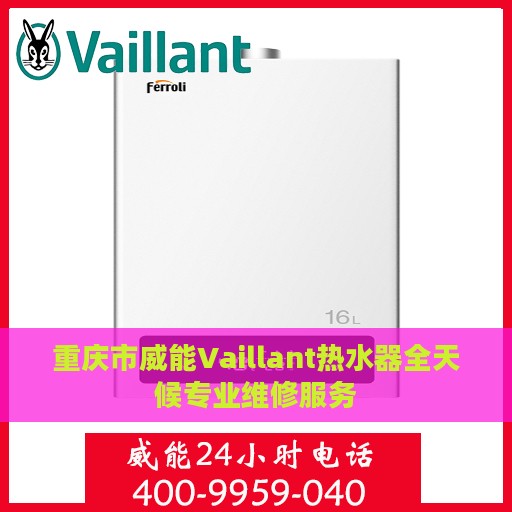 重庆市威能Vaillant热水器全天候专业维修服务