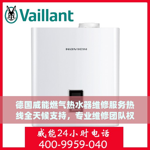 德国威能燃气热水器维修服务热线全天候支持，专业维修团队权威指南