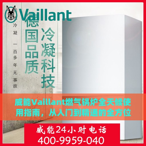 威能Vaillant燃气锅炉全天候使用指南，从入门到精通的全方位攻略