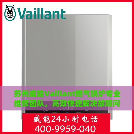 苏州威能Vaillant燃气锅炉专业维修团队，高效快捷解决故障问题