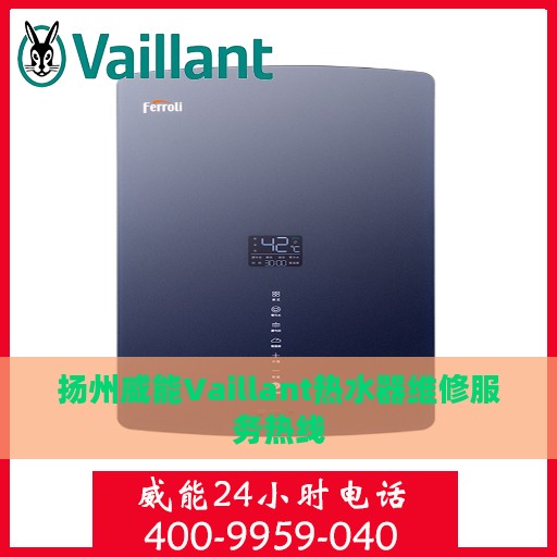 扬州威能Vaillant热水器维修服务热线