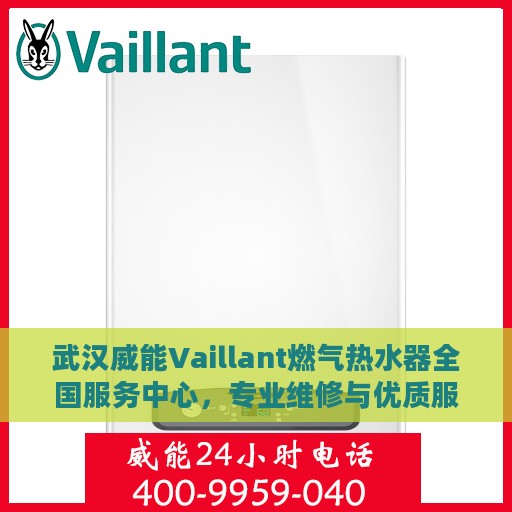武汉威能Vaillant燃气热水器全国服务中心，专业维修与优质服务并行