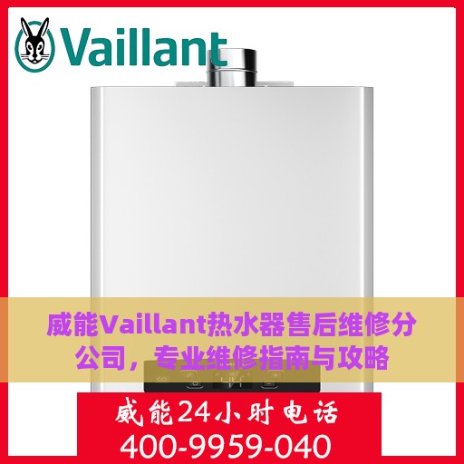 威能Vaillant热水器售后维修分公司，专业维修指南与攻略