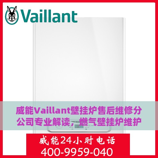 威能Vaillant壁挂炉售后维修分公司专业解读，燃气壁挂炉维护与保养秘籍