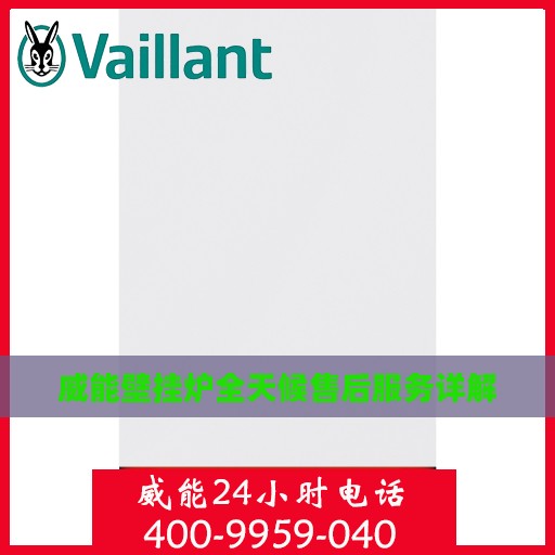 威能壁挂炉全天候售后服务详解