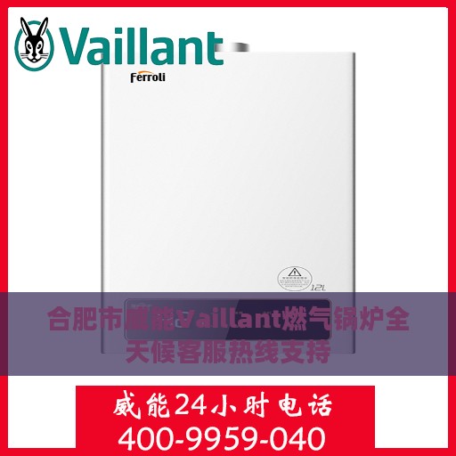 合肥市威能Vaillant燃气锅炉全天候客服热线支持