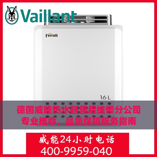 德国威能热水器售后维修分公司专业推荐，品质保障服务指南