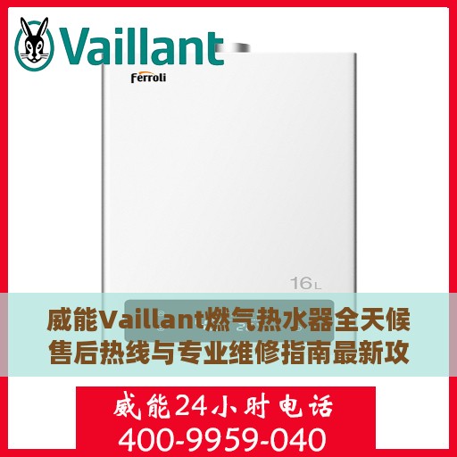 威能Vaillant燃气热水器全天候售后热线与专业维修指南最新攻略