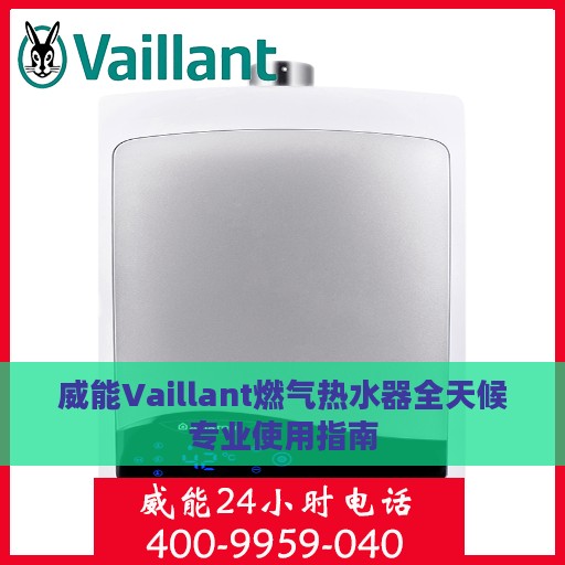 威能Vaillant燃气热水器全天候专业使用指南