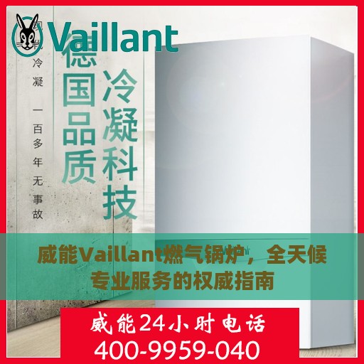 威能Vaillant燃气锅炉，全天候专业服务的权威指南