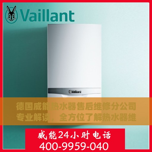 德国威能热水器售后维修分公司专业解读，全方位了解热水器维护与保障秘籍