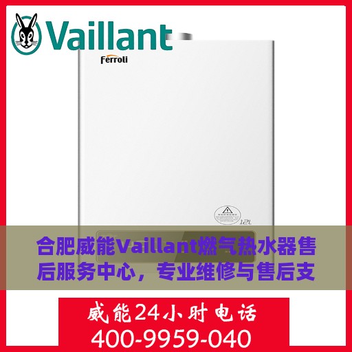 合肥威能Vaillant燃气热水器售后服务中心，专业维修与售后支持