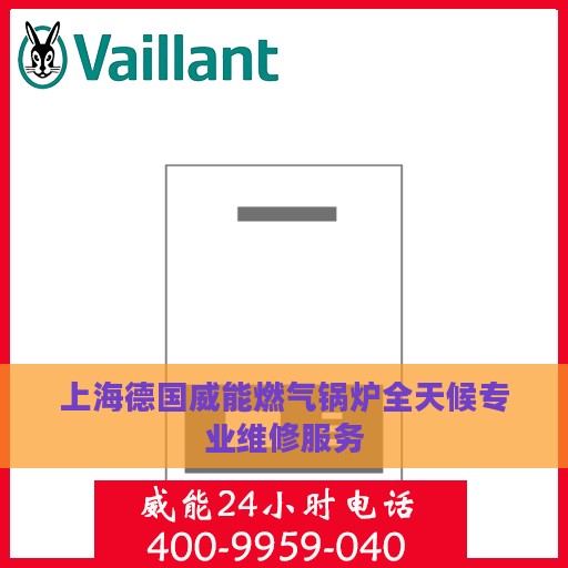 上海德国威能燃气锅炉全天候专业维修服务