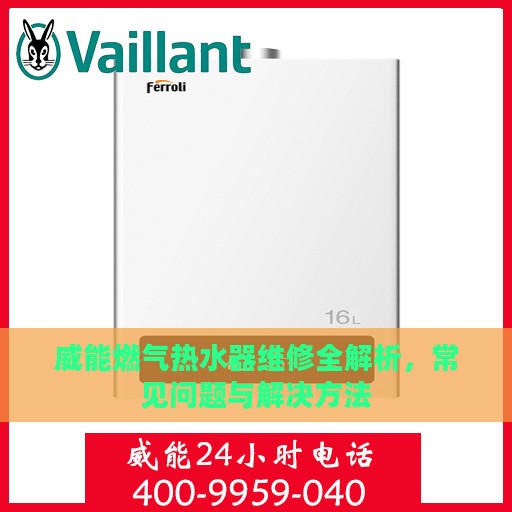 威能燃气热水器维修全解析，常见问题与解决方法