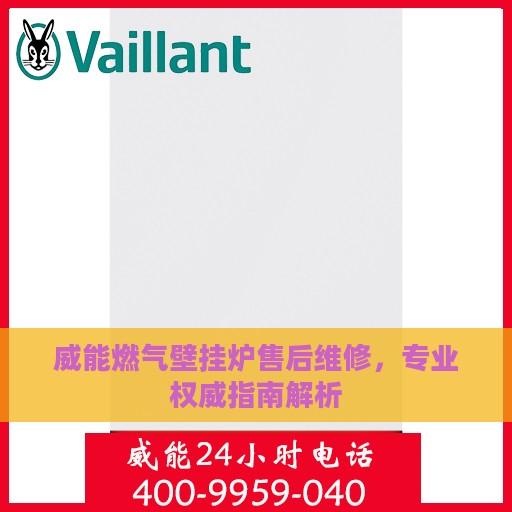威能燃气壁挂炉售后维修，专业权威指南解析