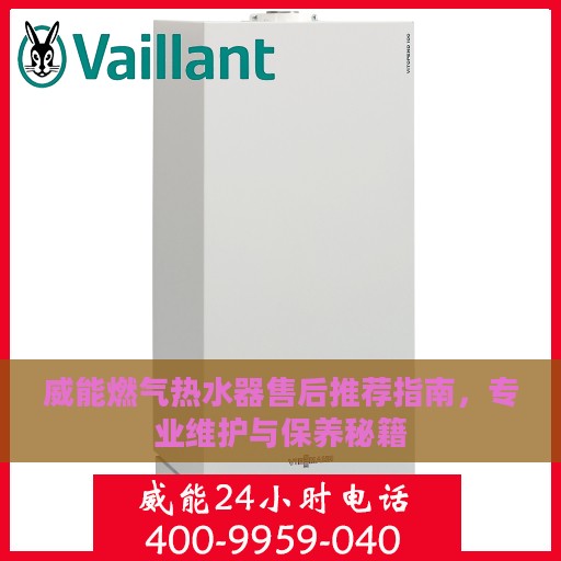 威能燃气热水器售后推荐指南，专业维护与保养秘籍