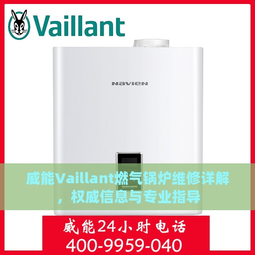 威能Vaillant燃气锅炉维修详解，权威信息与专业指导