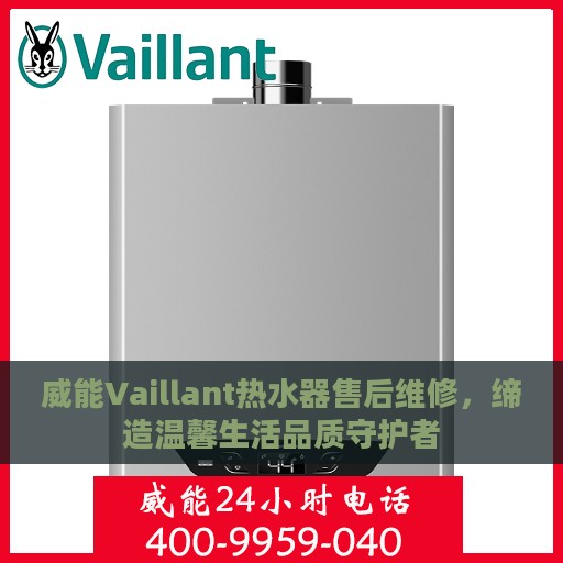 威能Vaillant热水器售后维修，缔造温馨生活品质守护者