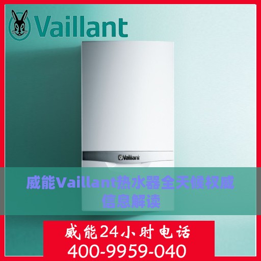 威能Vaillant热水器全天候权威信息解读