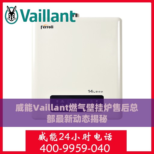 威能Vaillant燃气壁挂炉售后总部最新动态揭秘