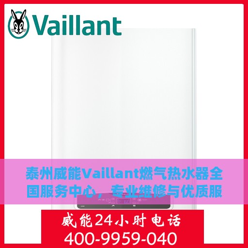 泰州威能Vaillant燃气热水器全国服务中心，专业维修与优质服务并行