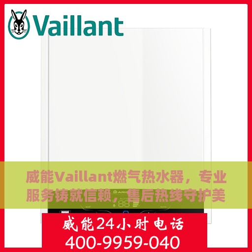 威能Vaillant燃气热水器，专业服务铸就信赖，售后热线守护美好生活