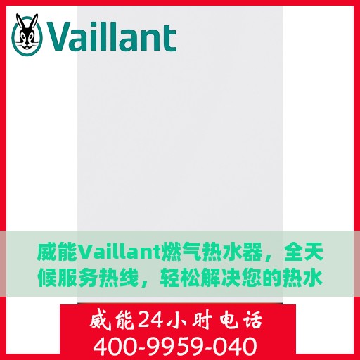 威能Vaillant燃气热水器，全天候服务热线，轻松解决您的热水需求