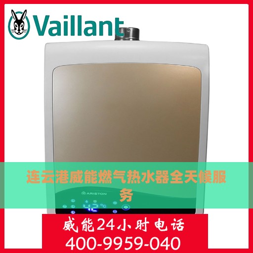 连云港威能燃气热水器全天候服务