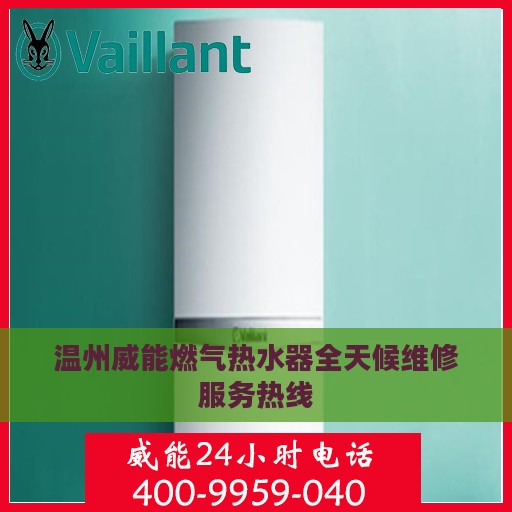温州威能燃气热水器全天候维修服务热线